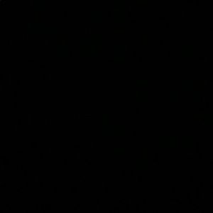 Meet your Posher, Autumn